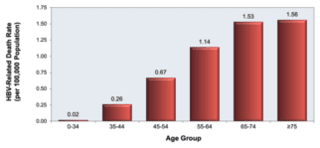 Core Concepts - HBV Epidemiology - Screening And Diagnosis - Hepatitis ...