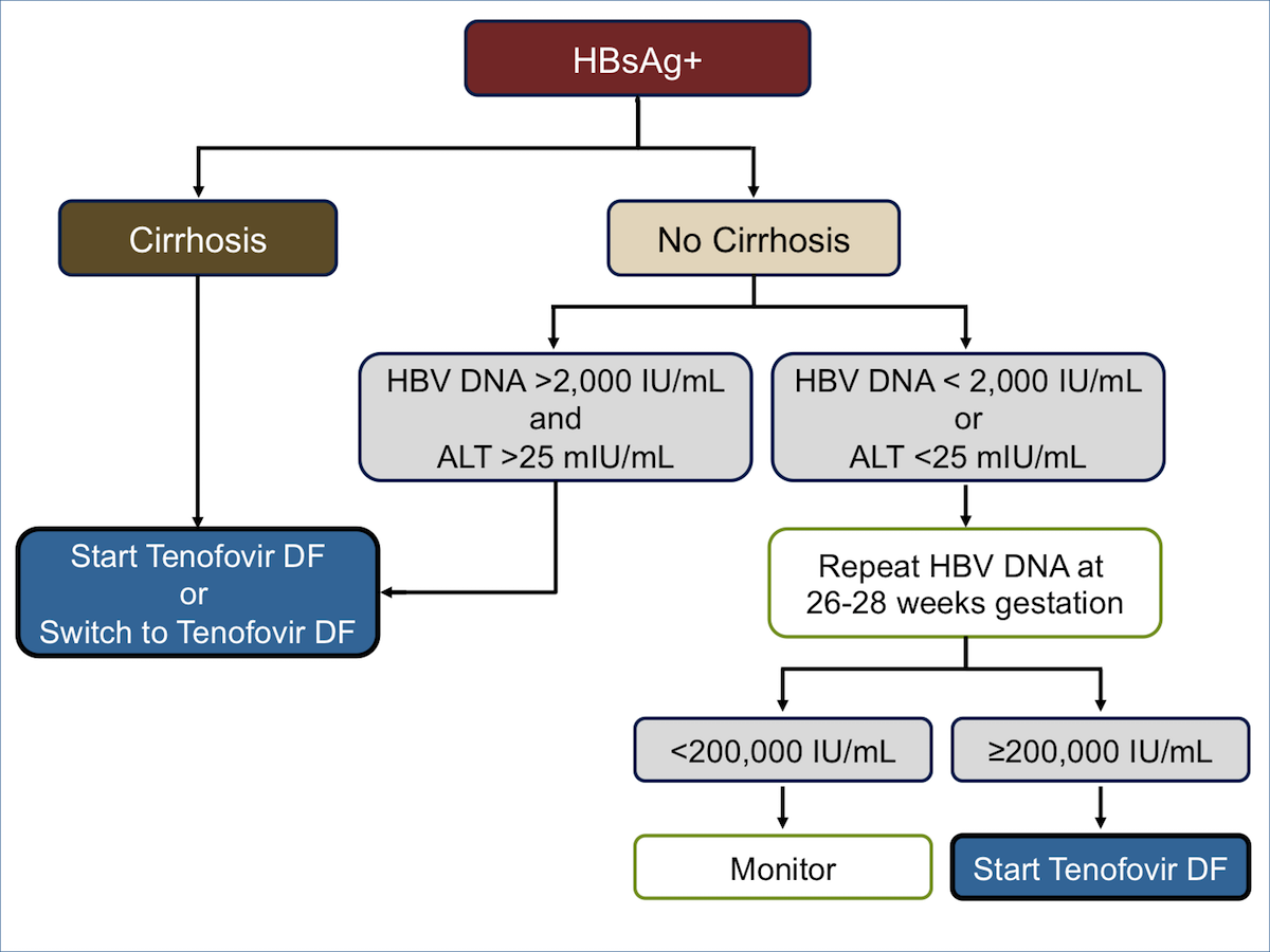 Hepatitis B Core Antibody: Role In Clinical Practice In