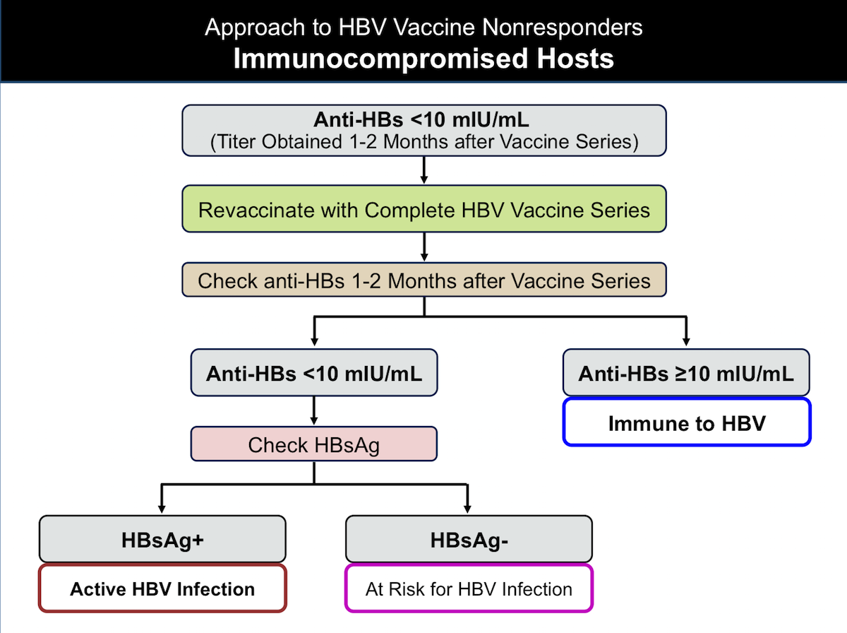 Hepatitis B Core Antibody: Role In Clinical Practice In